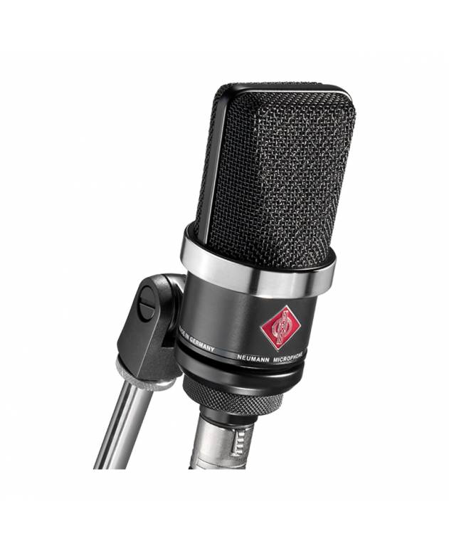 Neumann TLM102 Studio Condenser Microphone + EA4 Elastic